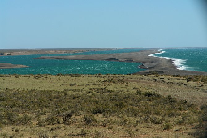 Valdes Peninsula Private Cruise and Wildlife Tour  - Puerto Madryn - Contact Information