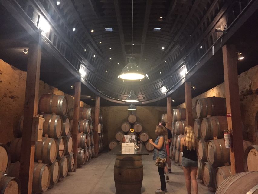 Valle De Guadalupe Wine Tasting Tour - Tour Highlights