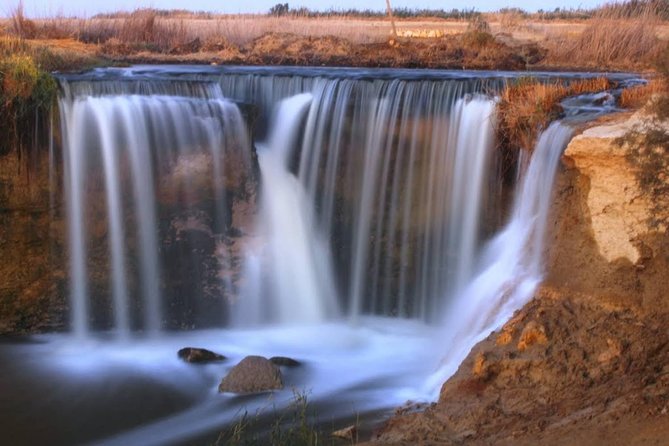 Valley of Whales and Wadi El Rayan Water Falls Day Tour From Cairo - Customer Experiences