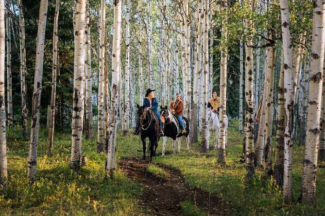 Valley Vista 1.5 Hour Horseback Trail Ride in Kananaskis - Booking Information and Price Details