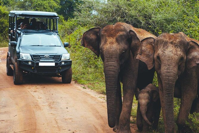 VALUE PACK! One Day Safari Tour to Yala and Udawalawe - Private & All Inclusive - Logistics and Policies
