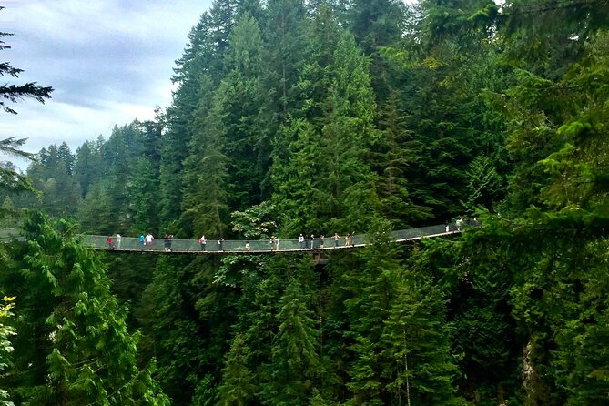 Vancouver Capilano Canyon Light and Peak of Christmas in Grouse Mountain - Insider Tips and Recommendations