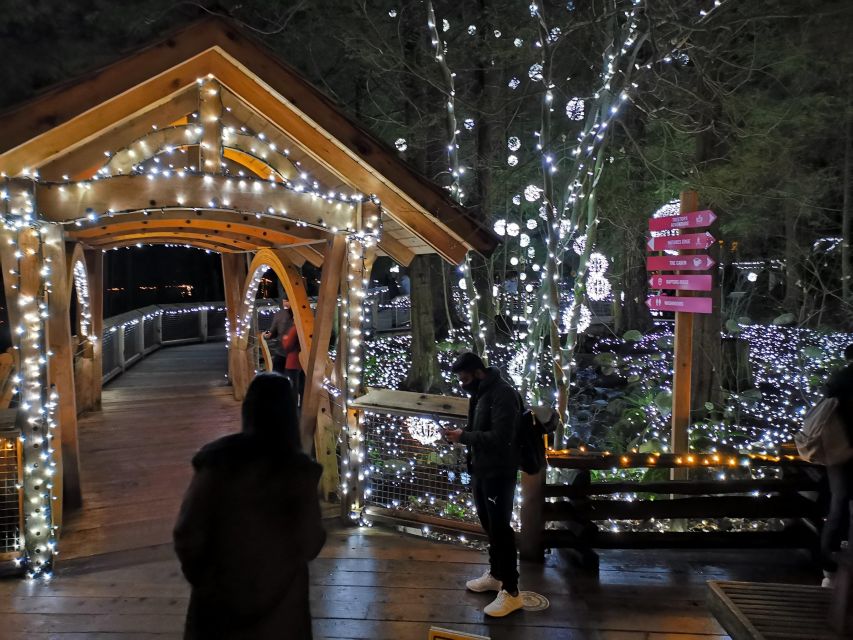 Vancouver: Christmas Tour With Light Festival Entrance - Christmas Tour Experience