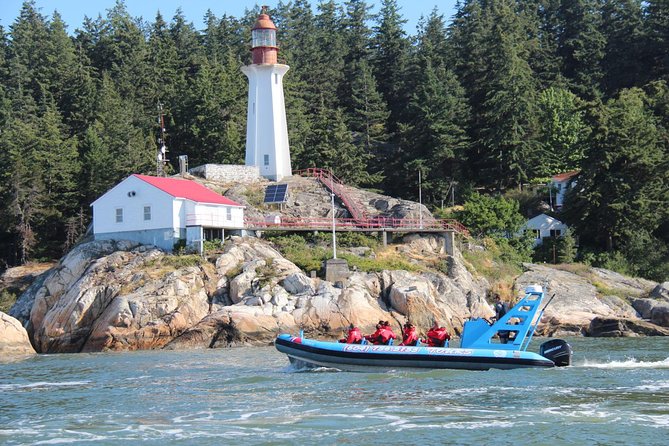 Vancouver City and Seals Scenic Boat Tour by Vancouver Water Adventures - Traveler Experience and Reviews