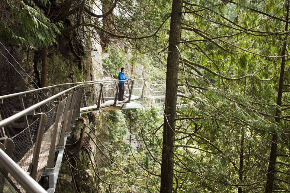 Vancouver: City Tour and Capilano Suspension Bridge Ticket - Review Ratings