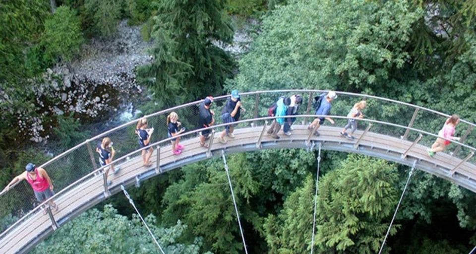 Vancouver Day TripGrouse Mountain&Capilano Suspension - Professional Guided Tour