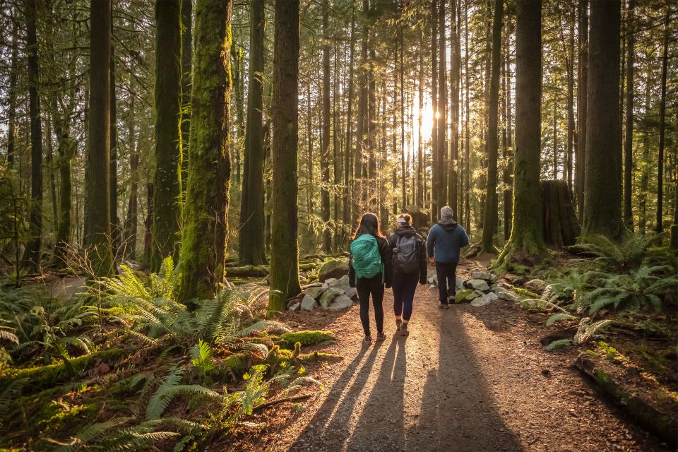 Vancouver: Lynn Valley Suspension Bridge & Nature Walk Tour - Detailed Tour Description