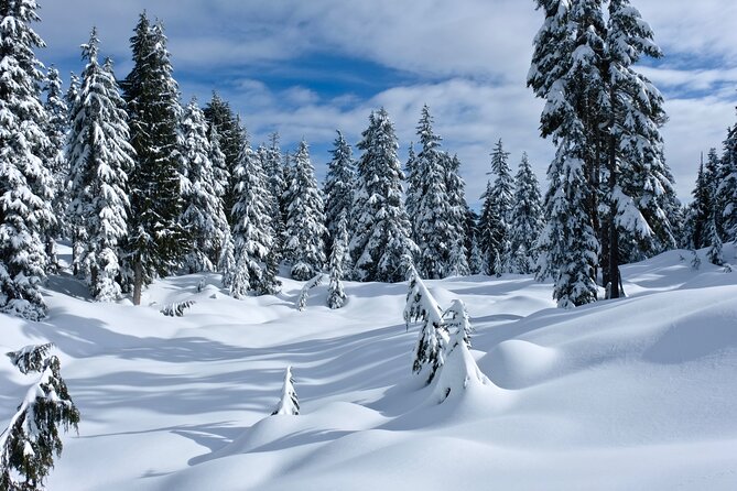 Vancouver: North Shore Mountains Small-Group Snowshoeing Tour - Support Information