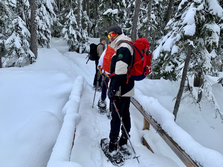 Vancouver: Panoramic View Snowshoeing Tour - Itinerary