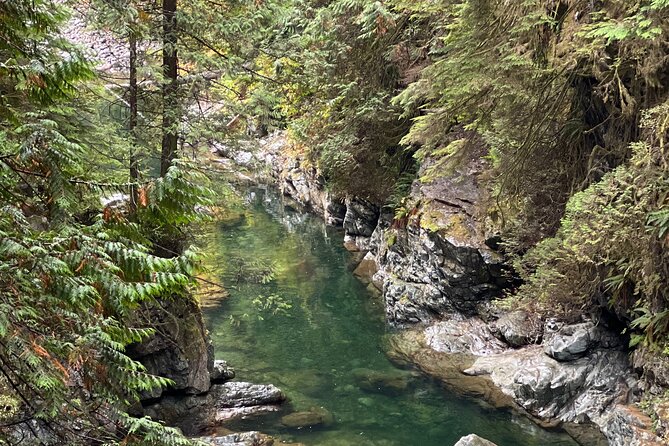 Vancouver Rainforest Hike With Waterfalls, Suspension Bridge, Old Growth Forest - Cancellation Policy Information