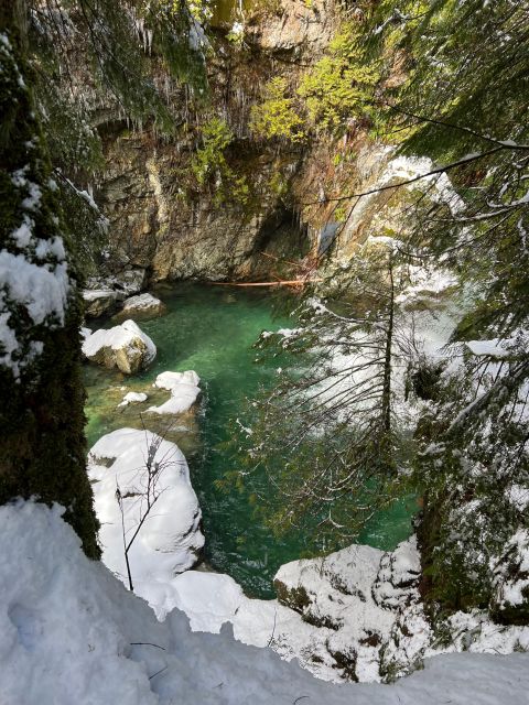 Vancouver: Rainforest Waterfall Hike and Suspension Bridge - Full Description