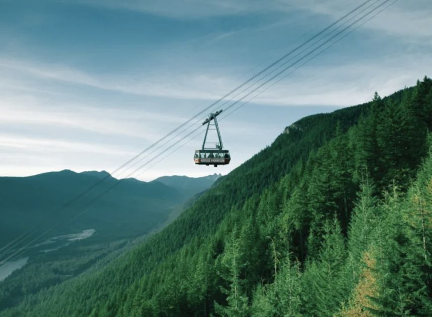 Vancouver: Small Group Tour W/Capilano & Grouse Mtn Lunch - Reviews