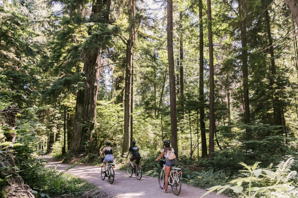 Vancouver: Stanley Park Bicycle Tour - E-Bike Upgrades