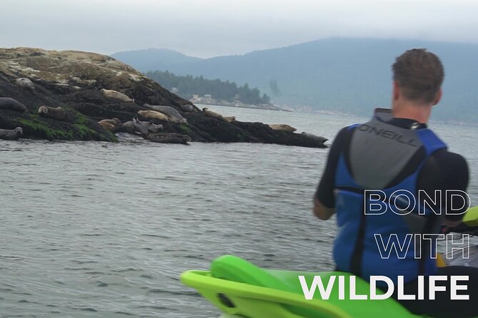 Vancouver to English Bay and Howe Sound Jet Ski Tour - Activities and Recommendation