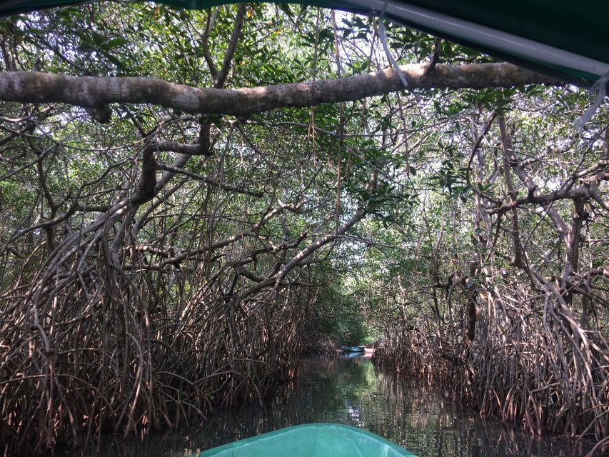 Veracruz: City Tour With Mandinga Boat Ride - Tour Description