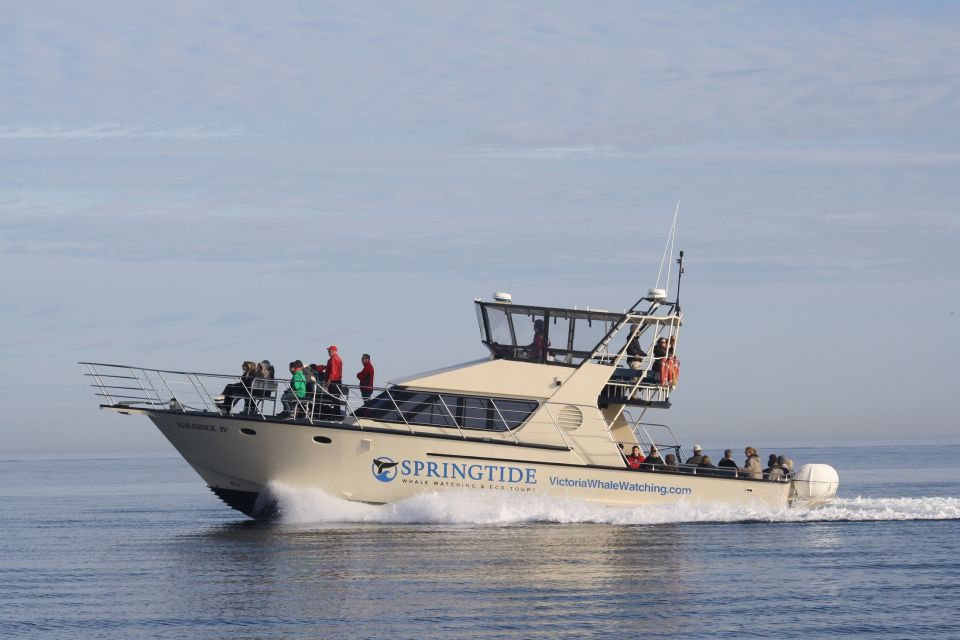 Victoria: 3-Hour Whale Watching Tour - Customer Reviews