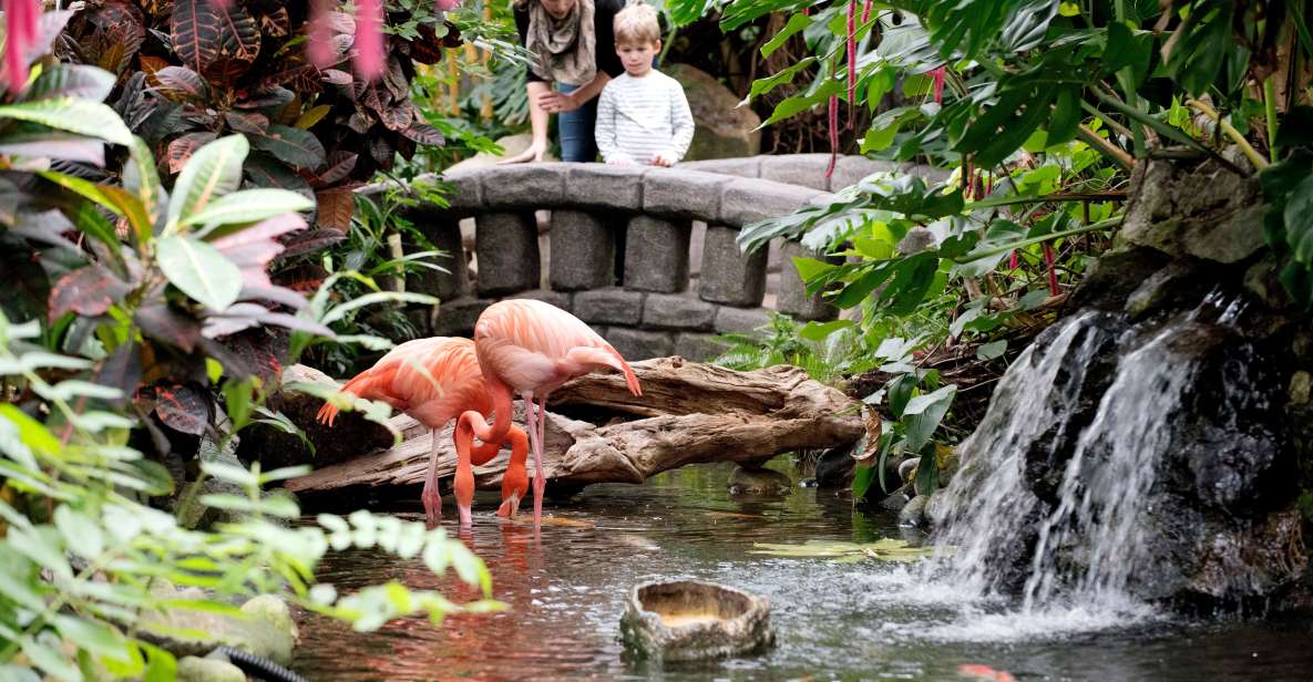 Victoria: Butterfly Gardens Admission Ticket - Booking Information