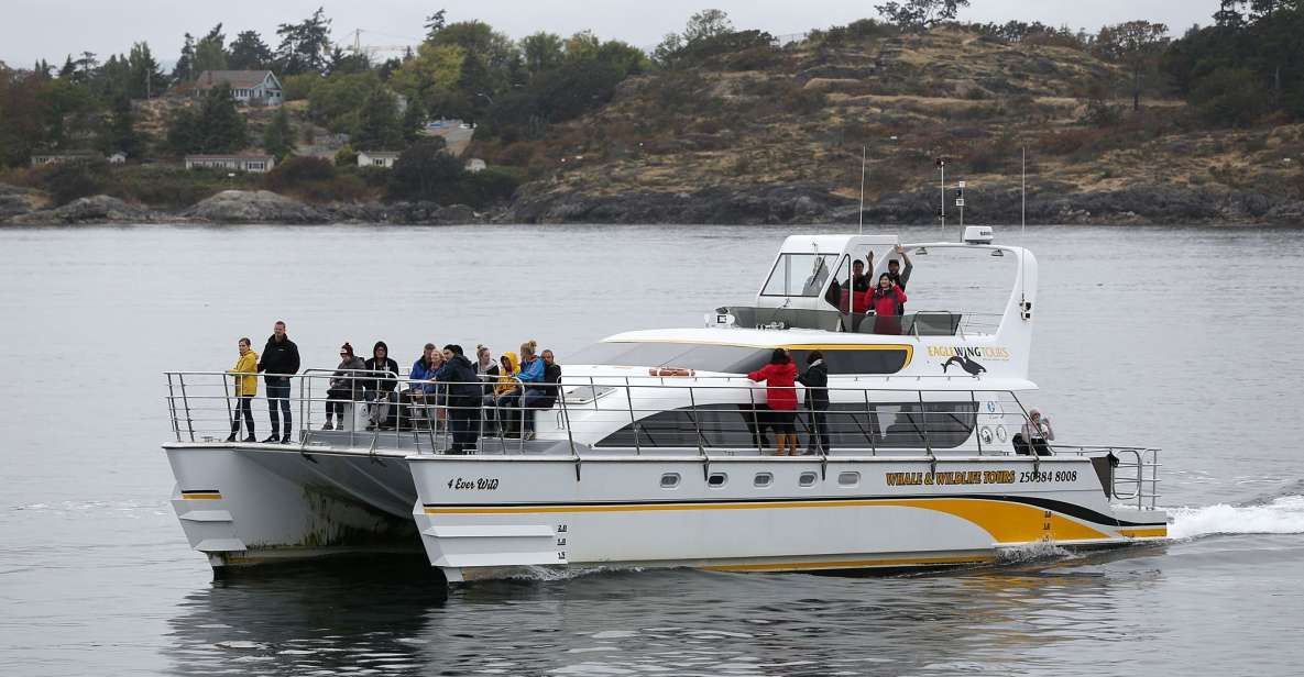 Victoria: Guided Whale and Wildlife-Watching Cruise - Inclusions