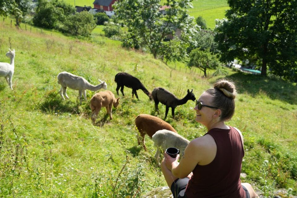 Vik I Sogn: Authentic Farm Visit - Serene Landscape Exploration