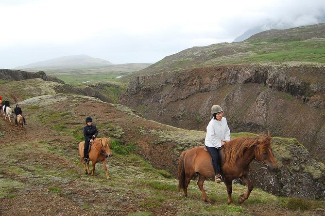 Viking Horse Riding and Golden Circle Tour From Reykjavik - Customer Feedback and Satisfaction