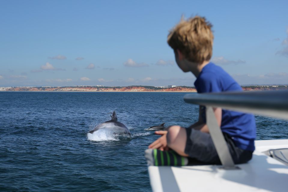 Vilamoura: Boat Tour Dolphin Quest - Full Experience Description