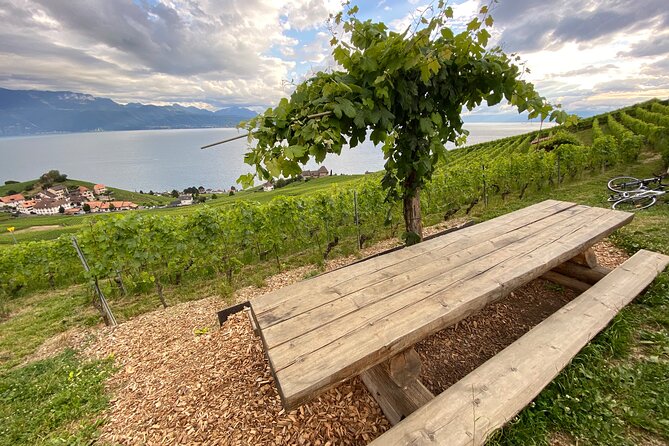 Vine Stories: Lavaux & Lutry Wine Walk - End Point Information