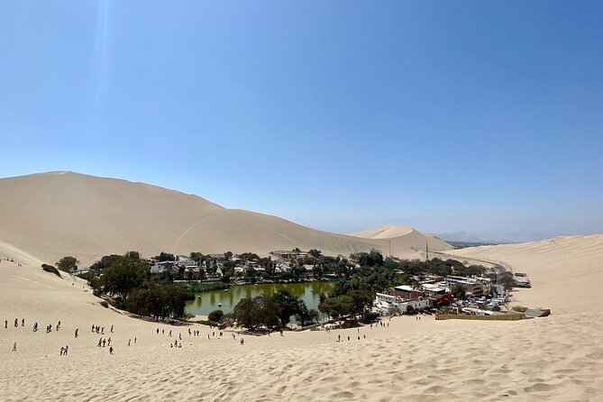 Vineyard & Buggy Tour in Huacachina / 1 Day Tour From Lima - Review Insights and Recommendations