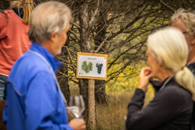 Vineyard Walk in the Garrigue - Pricing and Legalities