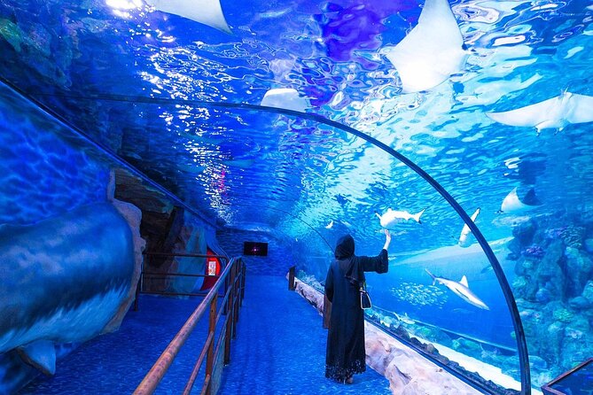 VIP Experience Dubai Aquarium & Underwater Zoo-As per Selection - Inclusions