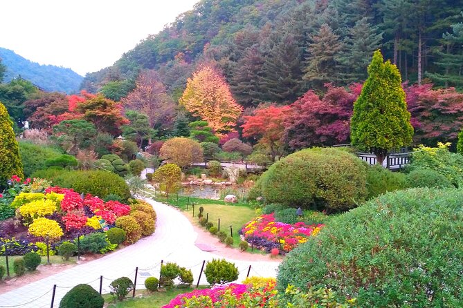 VIP Private Nami Island & Petite France & Garden of Morning Calm - Last Words