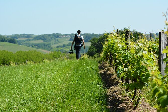 Visit of the Château Du Cros and Introduction to Tasting - Accessibility Details