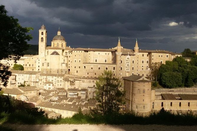 Visit of the Ducal Palace of Urbino - Guided Tours Available
