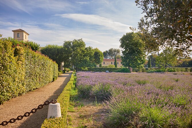 Visit the Cellars of Château Gigognan With Wine Tasting - Booking Information and Visitor Guidelines