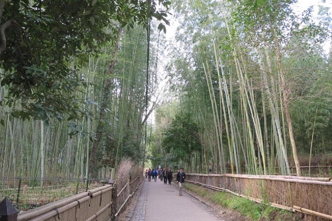 Visit the Lushan Area (On Foot, by Tram) - Hike Through Lushans Trails