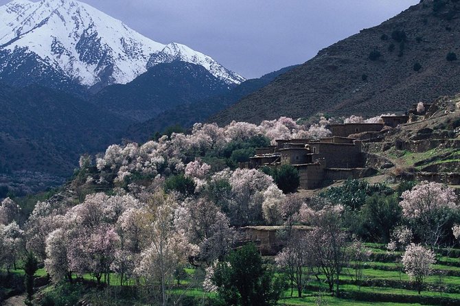 Visit the Magical Anima Gardens & Ourika Valley - Traveler Resources and Assistance