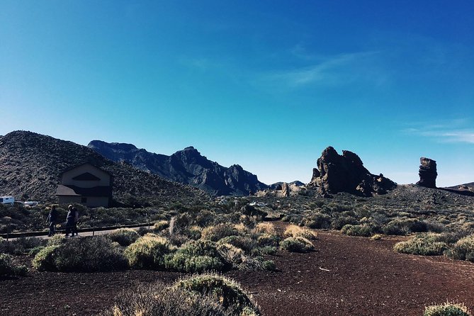 VOLCANO TEIDE NATIONAL PARK Half-Day in a Small Group by Bus - Scenic Route Details