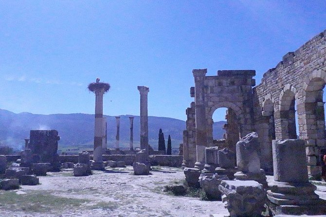 Volubilis Mulay Idriss and Meknas Tour - Local Cuisine Experience