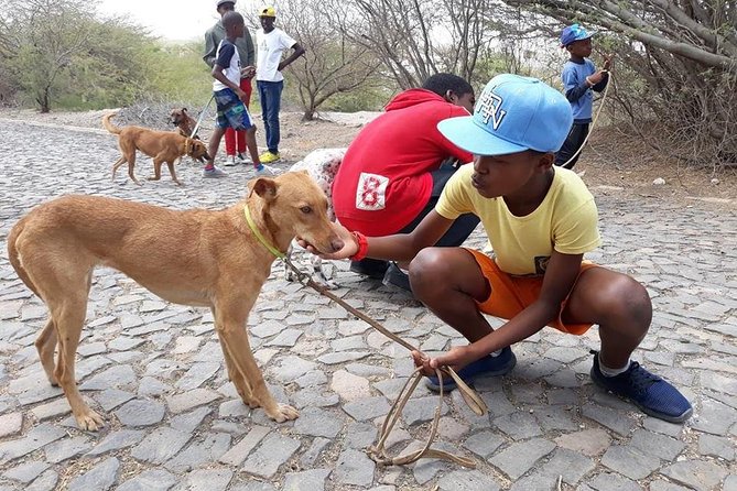 Volunteering With Animals in Sao Vicente! - Benefits of Volunteering