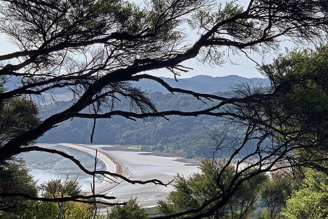 Waiheke Island Private Guided Te Ara Hura Walk - Recommended Items and Weather