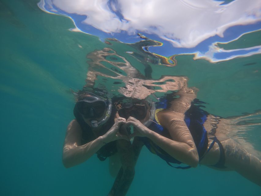 Waikiki: Honolulu Beginner Snorkeling Tour - Review Summary