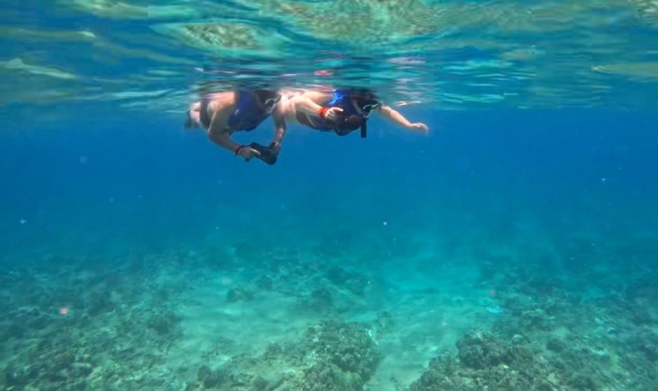 Waikiki: Monk Seal Bay Dolphin and Turtle Jet Snorkel Tour - Tour Description