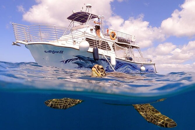 Waikiki Turtle Canyon Snorkel With Lunch and Hula Dancing - Tour Guidelines