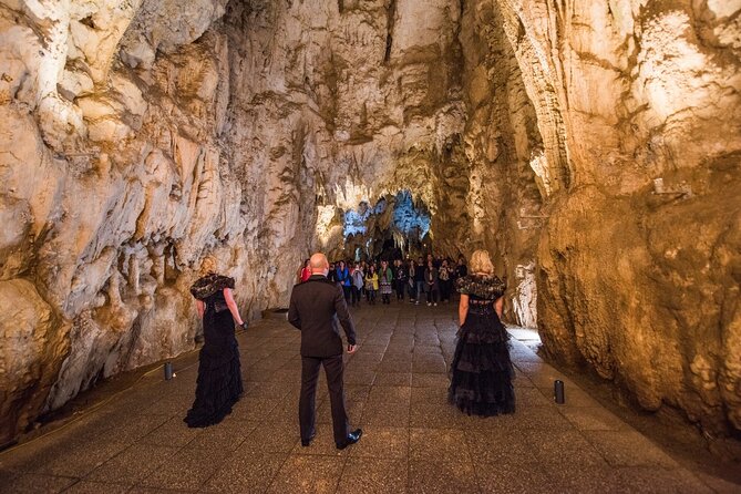 Waitomo Glowworm Caves -Shore Excursions & Private Tour -Auckland - Traveler Experiences
