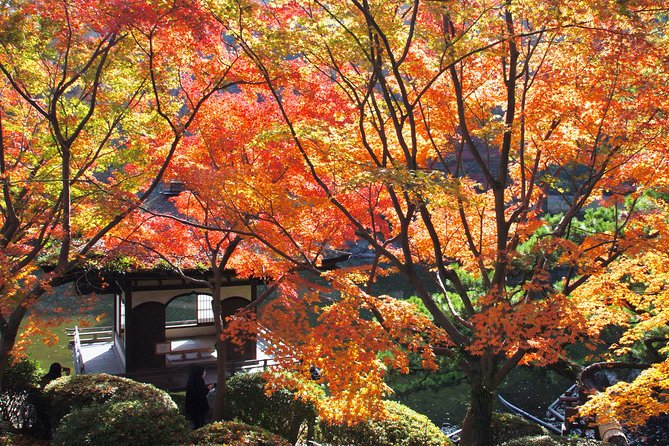 Wakayama Castle Town Walking Tour - Visiting Traditional Japanese Tea Houses