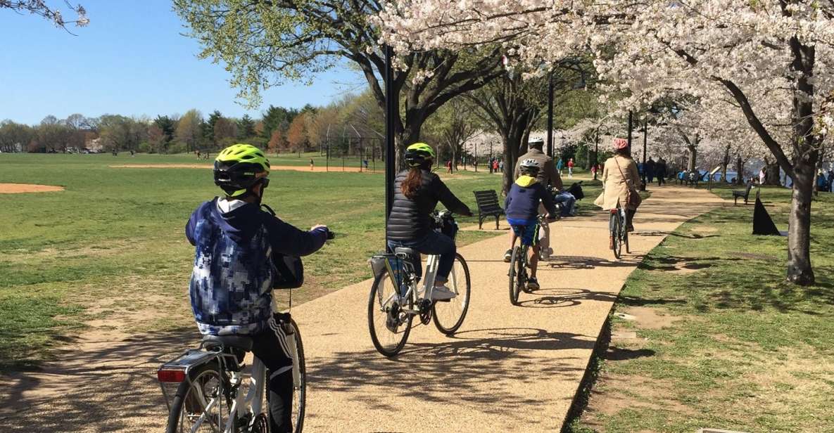 Washington DC: Cherry Blossom Festival Tour by Bike - Customer Reviews and Ratings