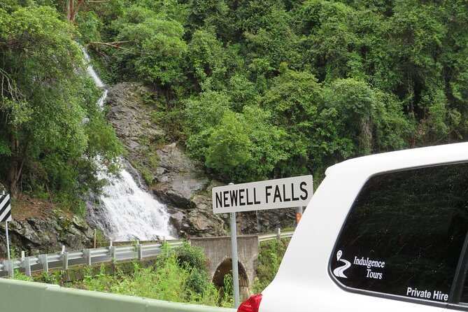 Water Falls and Lookouts Scenic Private Tour in NSW - Tour Guide Expertise and Local Insights