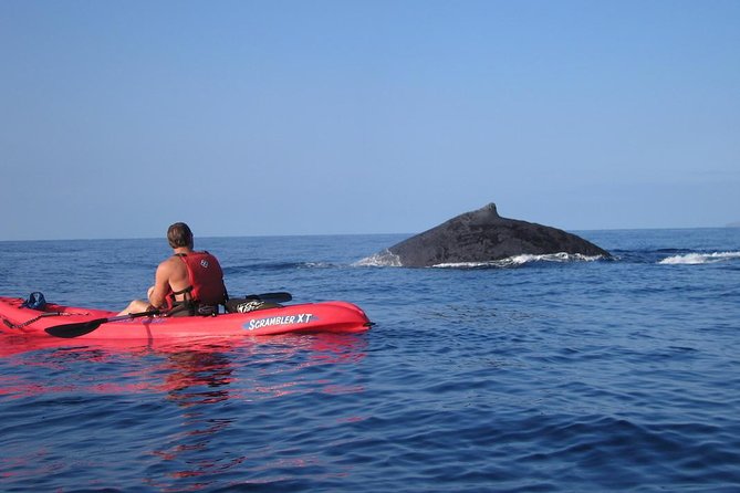 Waterfall Hike and Kayak Snorkel & Paddle From Makena - Tour Highlights, Guides, and Customer Reviews