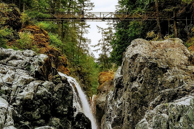 Waterfalls, Cathedral Grove Rainforest, and Coombs Adventure With Hiking - Pricing and Offers
