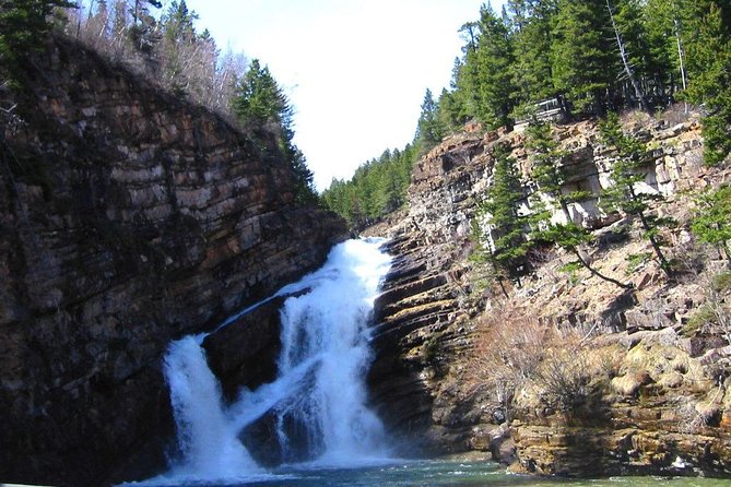 Waterton Lakes National Park 1-Day Tour From Calgary - Traveler Reviews and Experiences