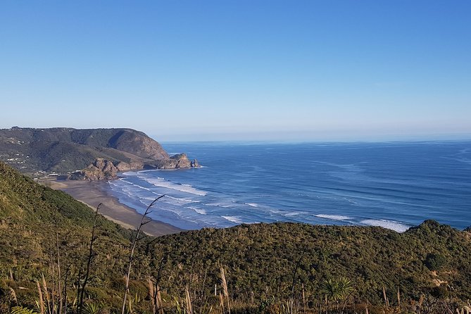 West Coast Discovery - Piha Beach or Muriwai Beach From Auckland - Accessibility and Activities